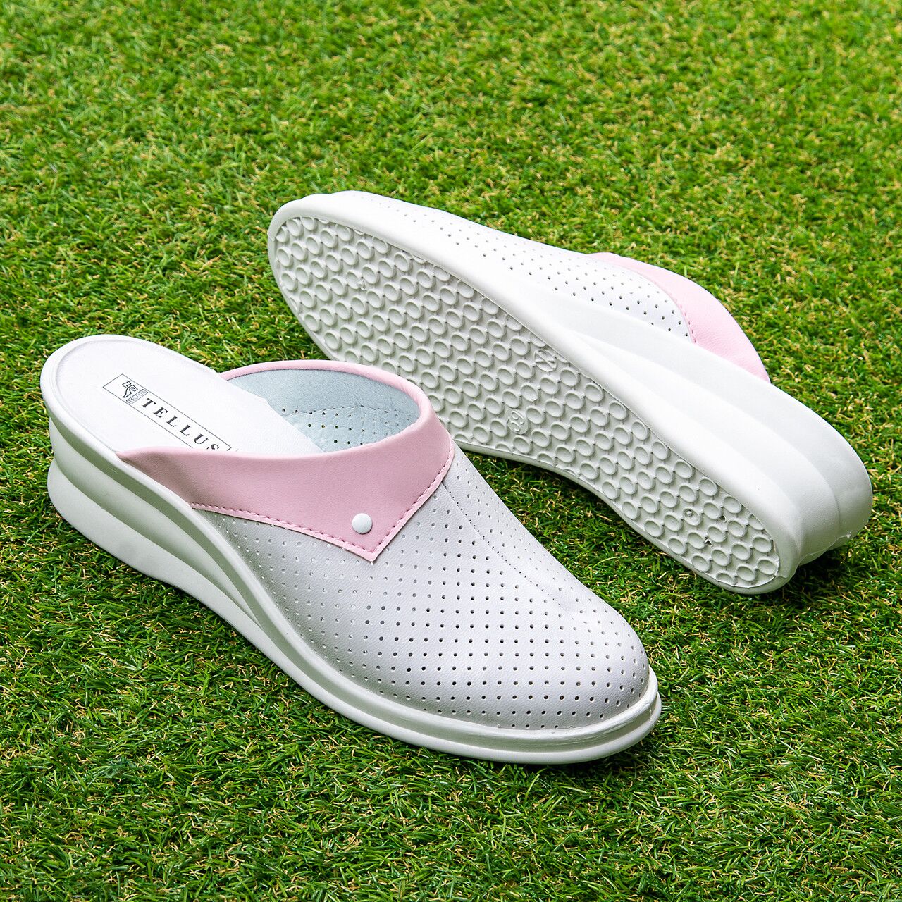 Saboti "TELLUS" 50-16, Alb-Roz - imagine 1